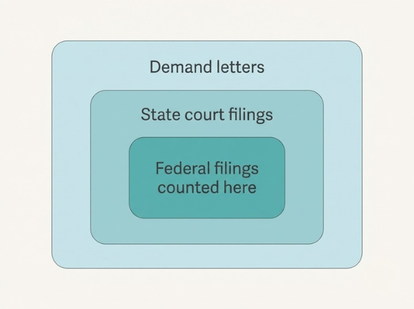 Nested diagram showing federal filings are a small counted subset of all website accessibility legal activity.